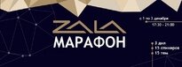 Компанией Vitoris организован Zala-марафон